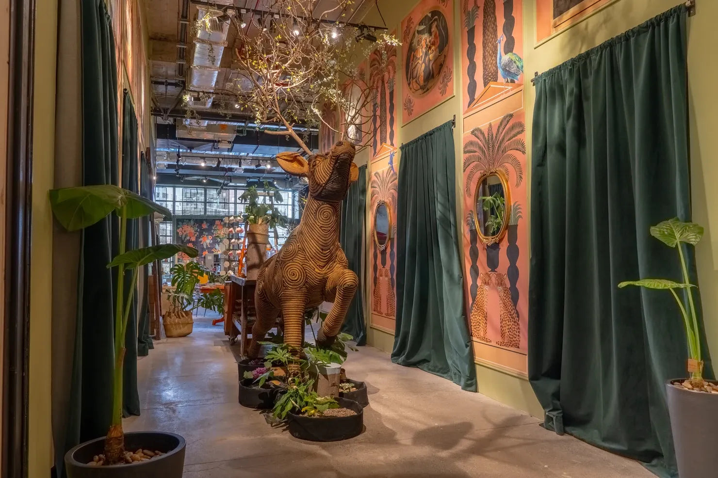 Nueva tienda Larry en el Jardín del MUT !!!