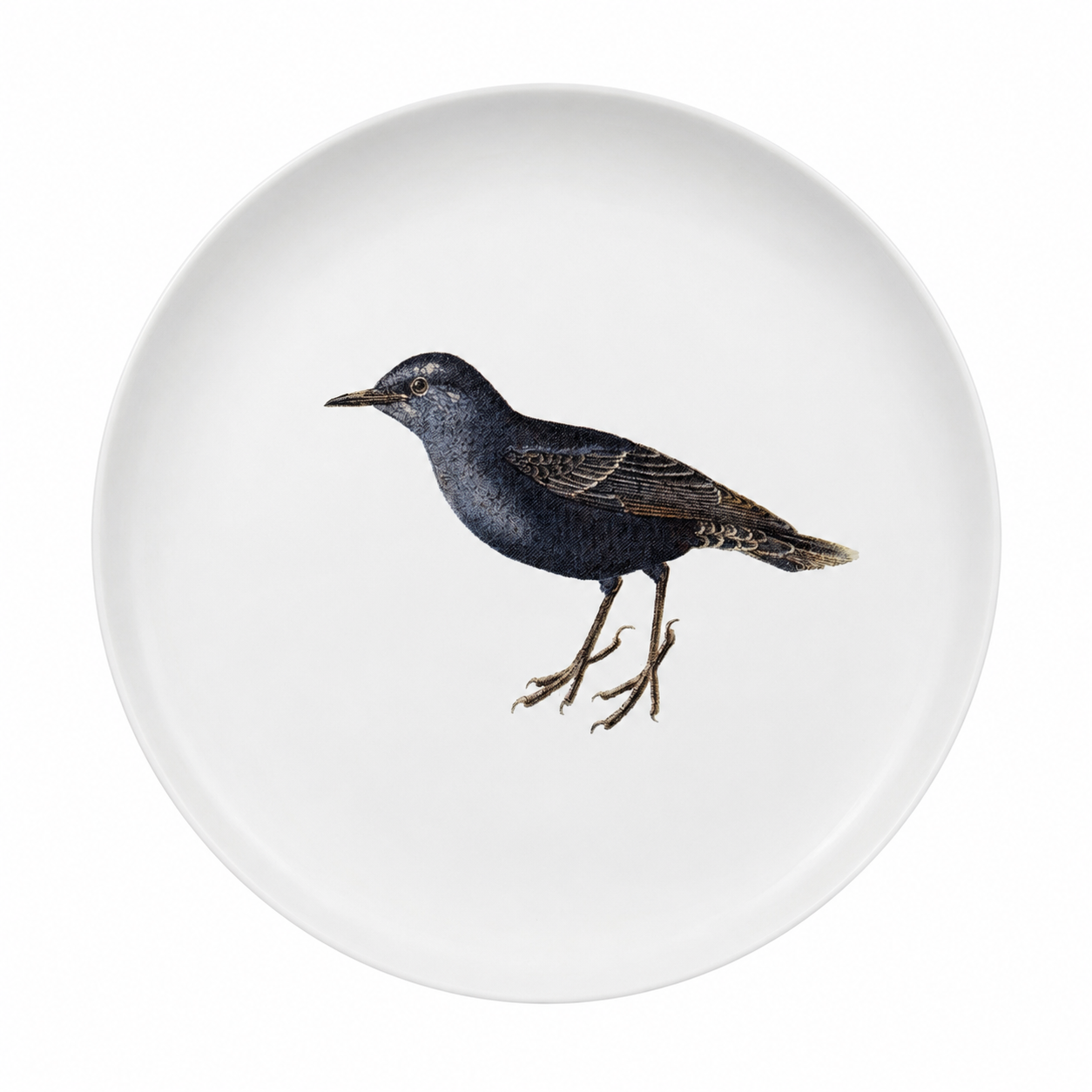 PÁJARO AZUL