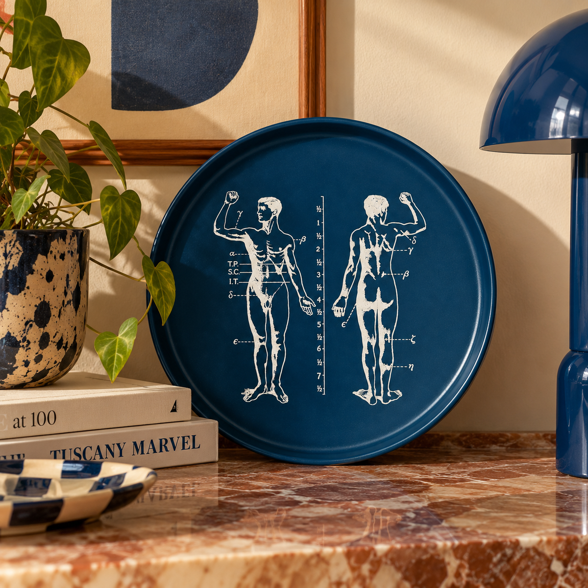 PLATO ANATOMÍA AZUL 21CM