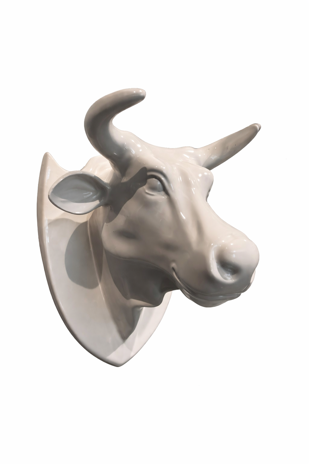 TORO