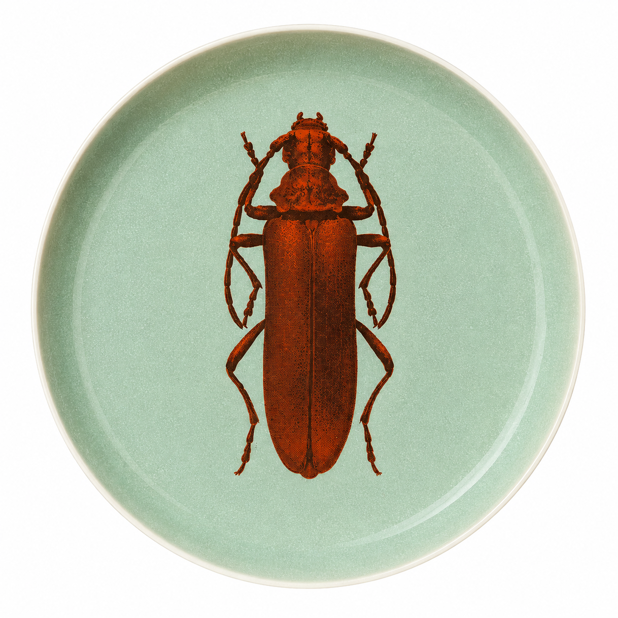 PLATO INSECTARIO IV