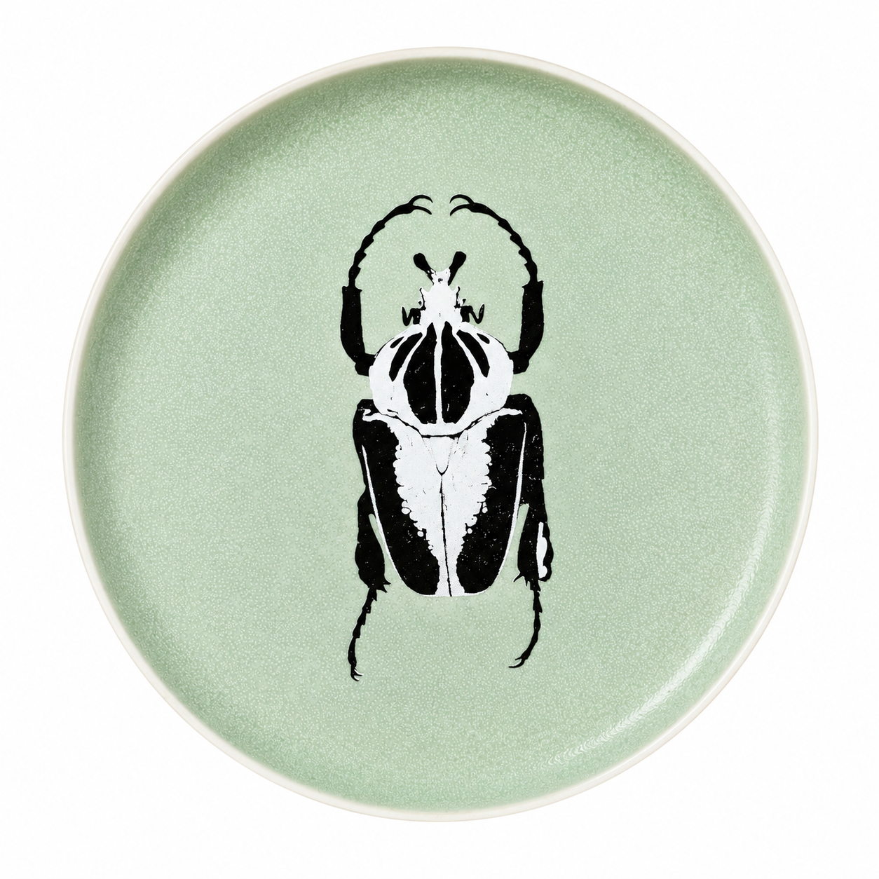 PLATO INSECTARIO V