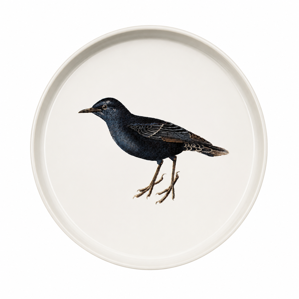 PLATO PAJARO AZUL 21.5CM