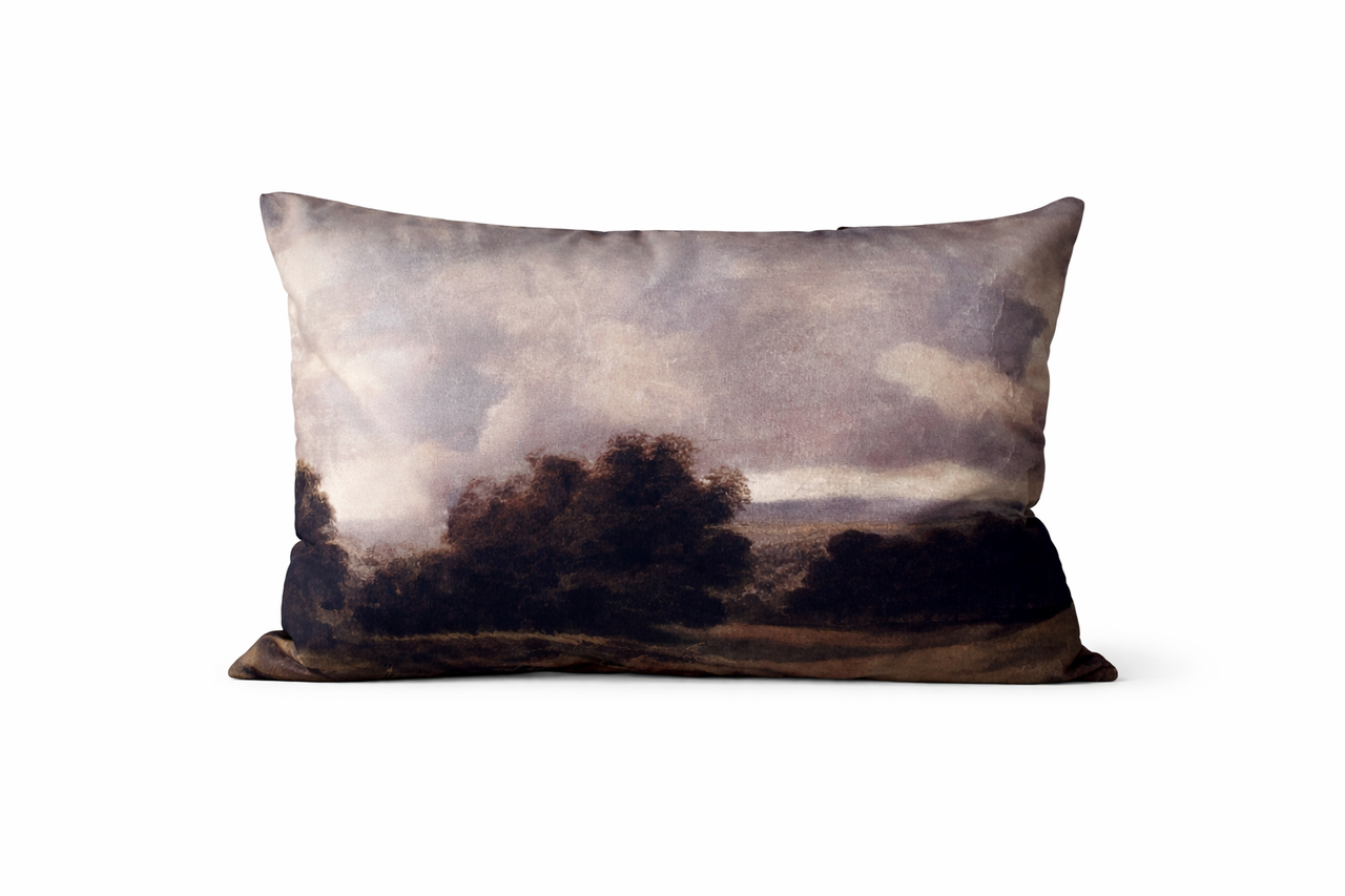 ALMOHADON PAISAJE II 70X50