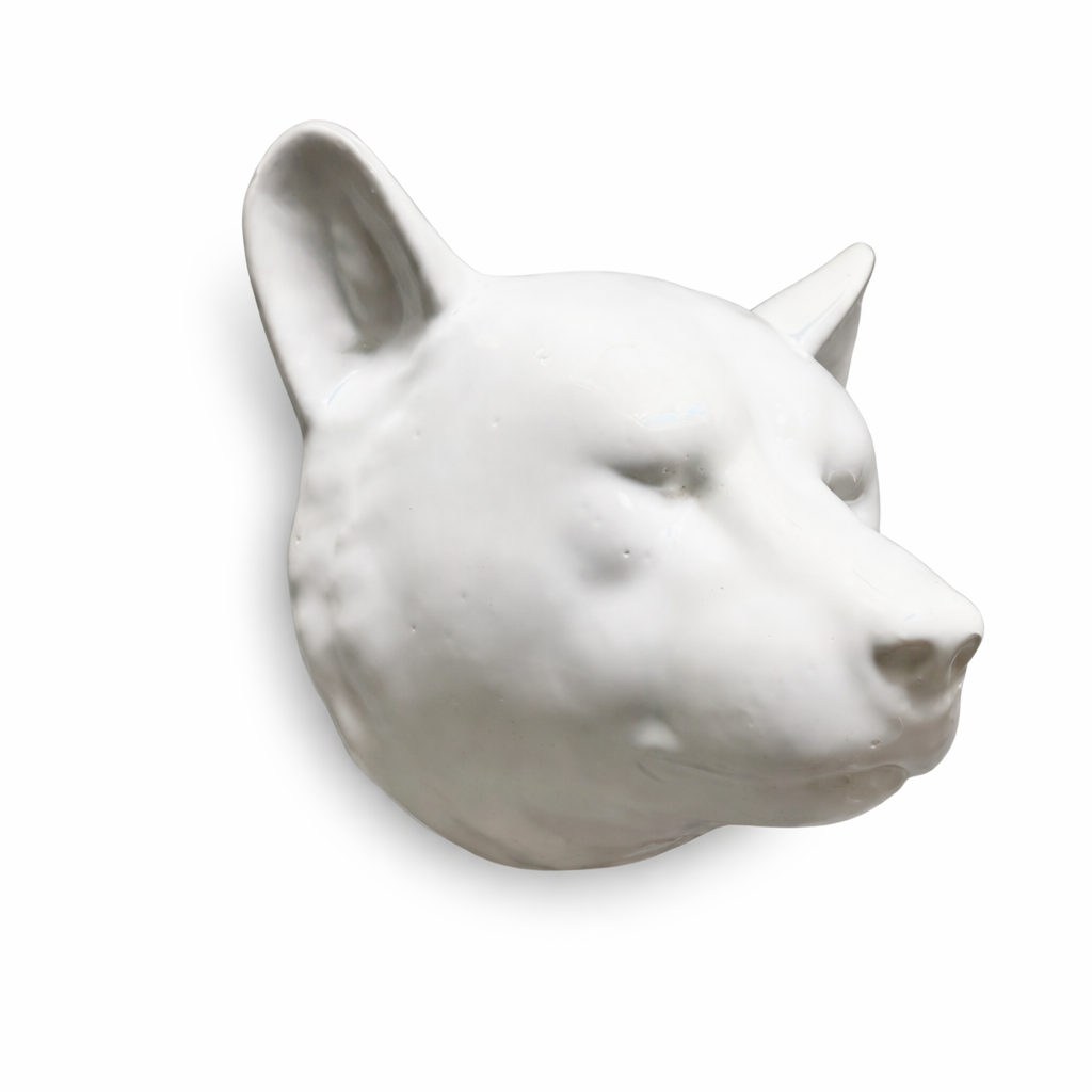 CABEZA OSO