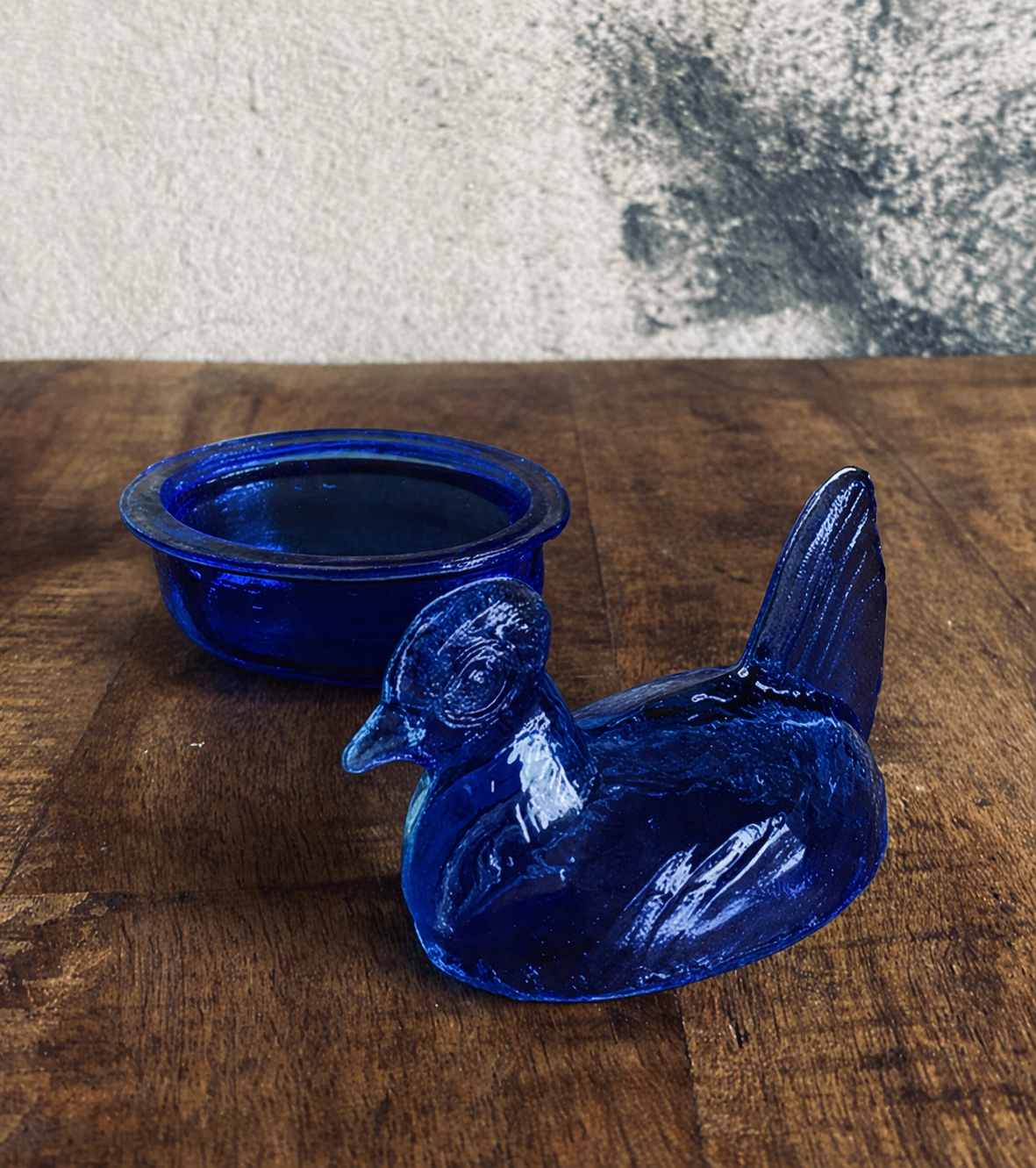 GALLINITA AZUL