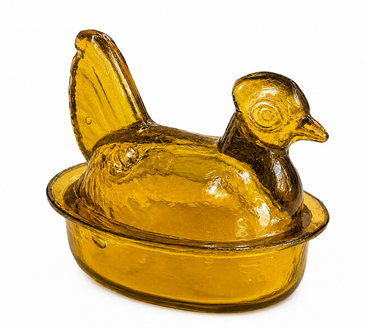 GALLINITA AMARILLA
