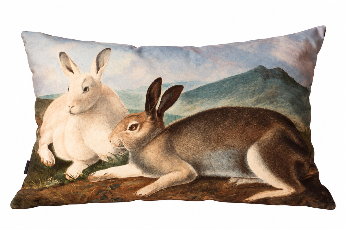 ALMOHADON CONEJOS 50X70