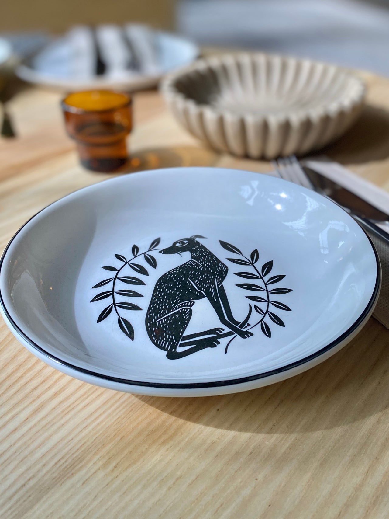PLATO GALGO