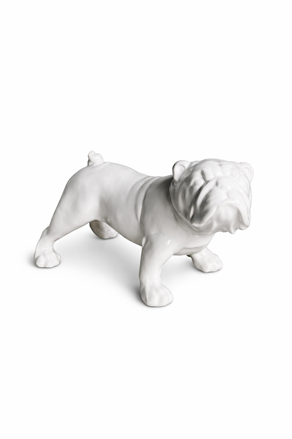 BULLDOG