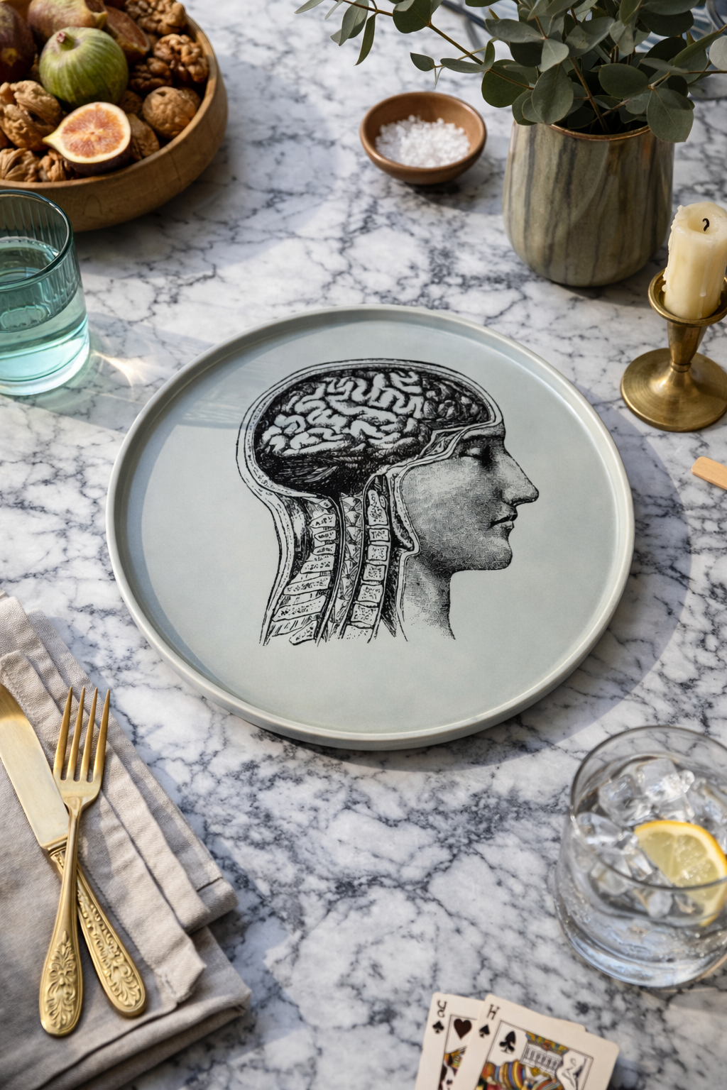 PLATO CEREBRO