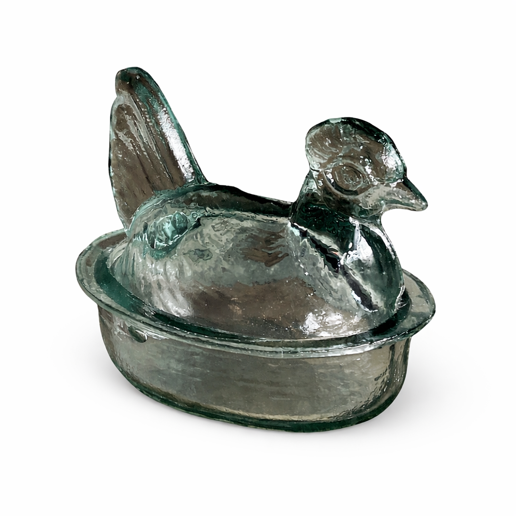 GALLINITA