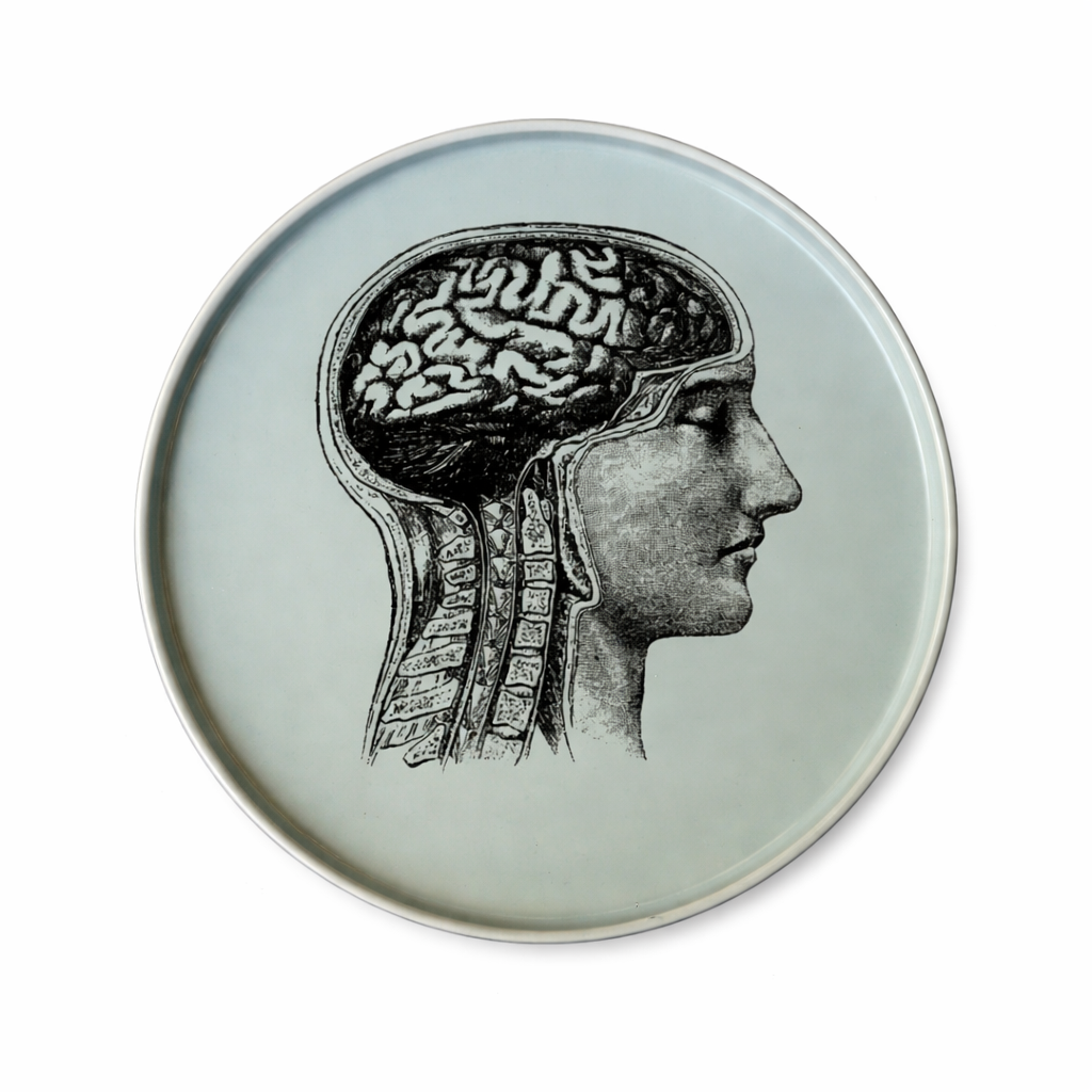 PLATO CEREBRO