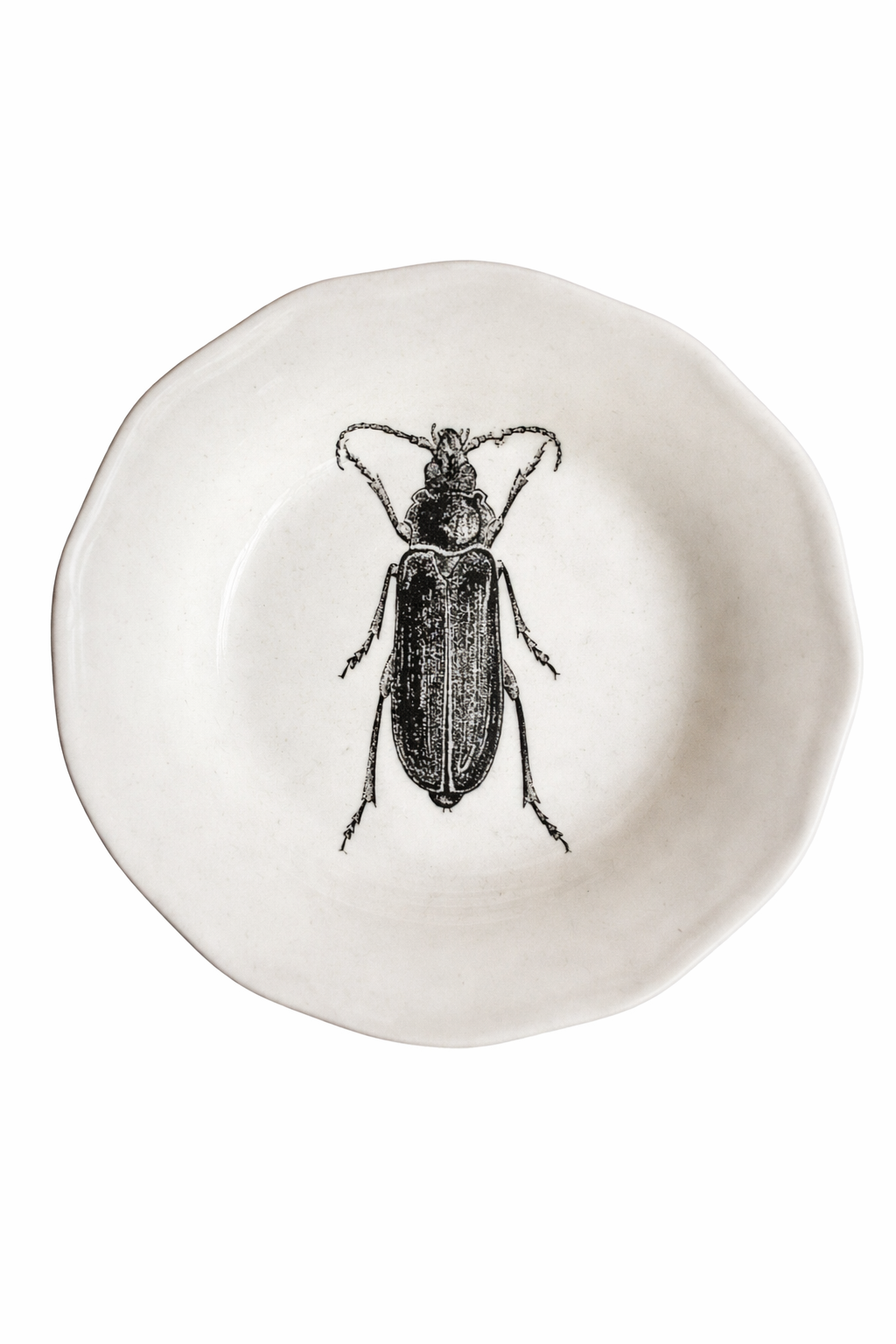 POCILLO INSECTO